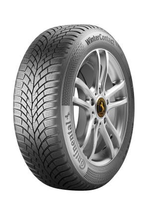 WinterContact TS 870